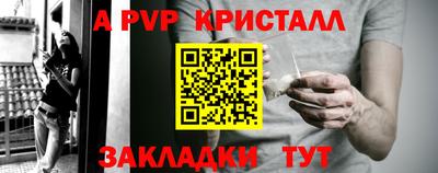 спиды Донской
