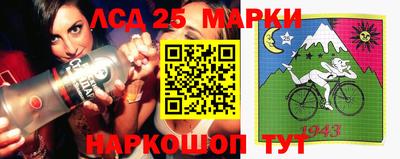 спиды Донской