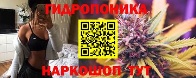 mdpv Дубна