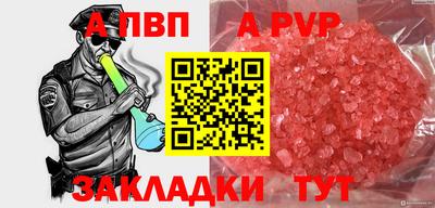 спиды Донской