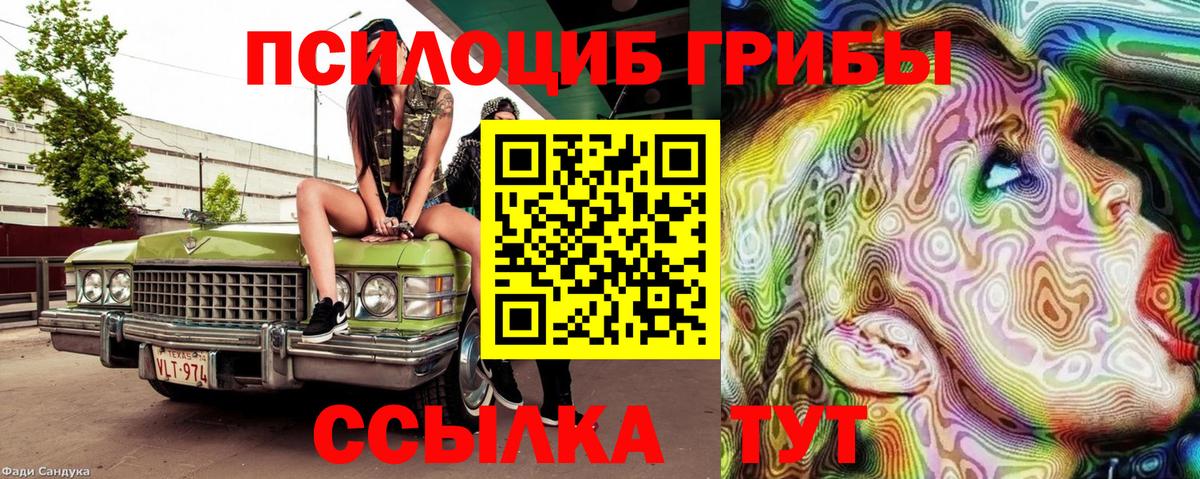 Галлюциногенные грибы прущие грибы  Псилоцибиновые грибы Psilocybe  Вход с VPN  цена наркотик  Минусинск 